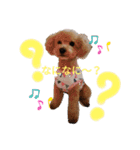 我が家のゆかいななかまたち（個別スタンプ：4）