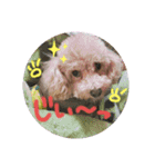 我が家のゆかいななかまたち（個別スタンプ：5）