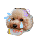 我が家のゆかいななかまたち（個別スタンプ：10）