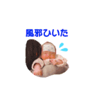 いつでもさらちゃん（個別スタンプ：16）