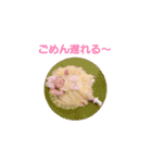 いつでもさらちゃん（個別スタンプ：25）