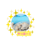 Fuwafuwaハムスター（個別スタンプ：7）