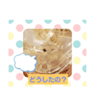 Fuwafuwaハムスター（個別スタンプ：16）
