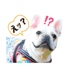 ぽこゴン②（個別スタンプ：16）