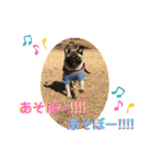 ぽこゴン②（個別スタンプ：17）