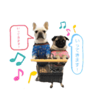 ぽこゴン②（個別スタンプ：25）