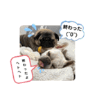 ぽこゴン②（個別スタンプ：34）