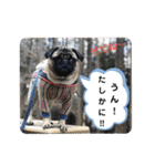 ぽこゴン②（個別スタンプ：37）