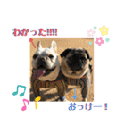 ぽこゴン②（個別スタンプ：39）