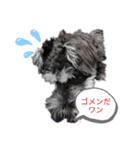 気持ち分かってワン（個別スタンプ：4）