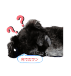 気持ち分かってワン（個別スタンプ：5）