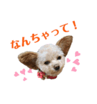 モカちゃん日記その4（個別スタンプ：4）