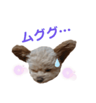 モカちゃん日記その4（個別スタンプ：5）