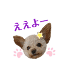モカちゃん日記その4（個別スタンプ：7）