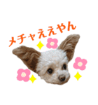 モカちゃん日記その4（個別スタンプ：21）