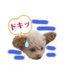 モカちゃん日記その4（個別スタンプ：22）