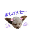 モカちゃん日記その4（個別スタンプ：24）