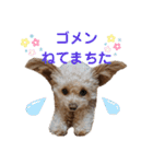 モカちゃん日記その4（個別スタンプ：26）