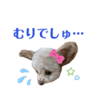 モカちゃん日記その4（個別スタンプ：28）