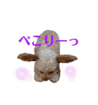 モカちゃん日記その4（個別スタンプ：32）