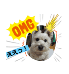 犬の気持ちピース＆ケンケン（個別スタンプ：1）