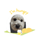 犬の気持ちピース＆ケンケン（個別スタンプ：2）