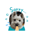 犬の気持ちピース＆ケンケン（個別スタンプ：6）