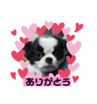 犬の気持ちピース＆ケンケン（個別スタンプ：7）