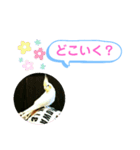 オカメインコのるっちゃん（個別スタンプ：4）