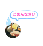 オカメインコのるっちゃん（個別スタンプ：5）