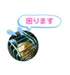 オカメインコのるっちゃん（個別スタンプ：12）