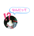 オカメインコのるっちゃん（個別スタンプ：13）
