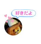 オカメインコのるっちゃん（個別スタンプ：14）
