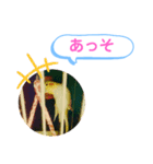 オカメインコのるっちゃん（個別スタンプ：16）