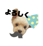 タリちゃんスタンプ（個別スタンプ：2）