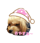 タリちゃんスタンプ（個別スタンプ：4）