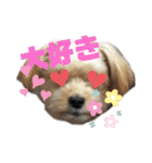 タリちゃんスタンプ（個別スタンプ：30）