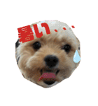 タリちゃんスタンプ（個別スタンプ：32）