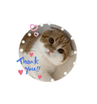まるちゃんスタンプ☆日常編（個別スタンプ：16）