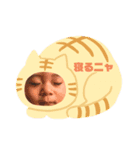 としはる（個別スタンプ：1）