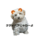 どーも、ふうたです…（個別スタンプ：4）