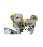 どーも、ふうたです…（個別スタンプ：7）