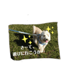 どーも、ふうたです…（個別スタンプ：10）