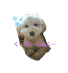 どーも、ふうたです…（個別スタンプ：11）