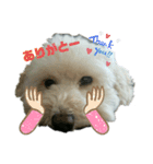 どーも、ふうたです…（個別スタンプ：13）