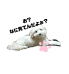 どーも、ふうたです…（個別スタンプ：15）