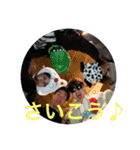 天王寺の仲間達（個別スタンプ：13）