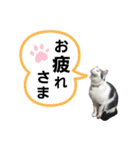 うたと、佐吉と、時々三成（個別スタンプ：8）
