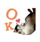 うたと、佐吉と、時々三成（個別スタンプ：9）