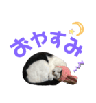 うたと、佐吉と、時々三成（個別スタンプ：13）